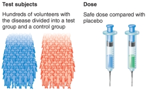 <strong>What phase of a clinical trial is shown by the illustration? </strong> A) Phase 0 B) Phase 1 C) Phase 2 D) Phase 3