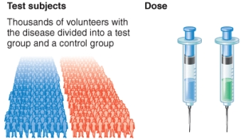 <strong>What phase of a clinical trial is shown by the illustration? </strong> A) Phase 0 B) Phase 1 C) Phase 2 D) Phase 3