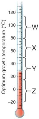 <strong>The bracket marked x is the range of temperature where ________ bacteria have their optimum growth temperature. </strong> A) hyperthermophilic B) thermophilic C) mesophilic D) psychrophilic