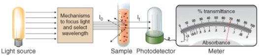 <strong>Absorbance is equal to ________. </strong> A) I<sub>t</sub>/I<sub>0</sub> B) log(I<sub>t</sub>/I<sub>0</sub>) C) log(I<sub>0</sub>/I<sub>t</sub>) D) -log(I<sub>t</sub>/I<sub>0</sub>)