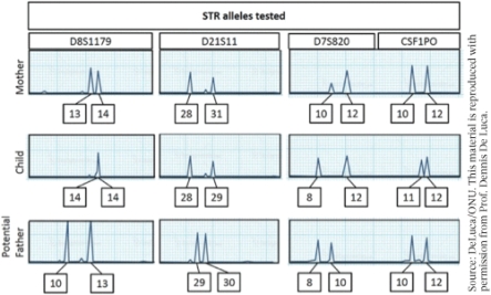 Based on the STR results, what is the correct conclusion for the paternity of the child? (Select all that apply)