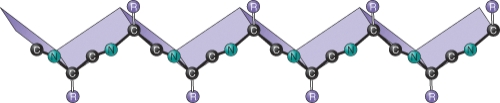 <strong>This protein folding pattern is known as a(n) ________ and represents the ________ protein structure.  </strong> A) alpha-helix; primary B) beta-sheet; secondary C) peptide backbone; tertiary D) zig-zig chain; quaternary <div style=padding-top: 35px> 