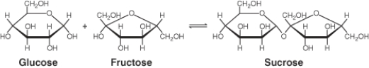<strong>In the chemical equation below, glucose is a(n) ________. </strong> A) reactant B) product C) intermediate complex D) equilabrator