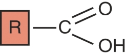 <strong>Identify this functional group. </strong> A) aldehyde B) thiol C) carboxyl D) hydroxyl