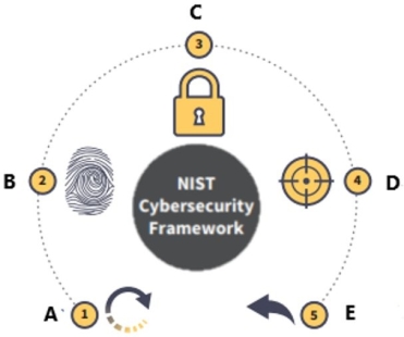 <strong>The National Institute of Standards and Technology (NIST) Cybersecurity Framework is displayed below. What is function B?</strong> A) Recover B) Identify C) Protect D) Detect