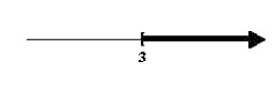 <strong>Solve the rational inequality and graph the solution on the real number line. </strong> A) B) C) D)