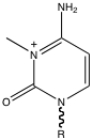 <strong>What modified base is seen in the following figure? </strong> A) 3-methyluridine B) 3-methylcytidine C) 3-methyladenosine D) 3-methylguanosine E) none of the above