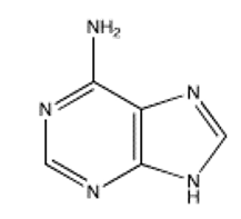 <strong>Which of the following bases is not present in RNA?</strong> A) B) C) D) E)