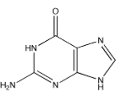 <strong>Which of the following bases is not present in RNA?</strong> A) B) C) D) E)