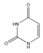 <strong>Which of the following bases is not present in RNA?</strong> A) B) C) D) E)