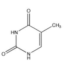 <strong>Which of the following bases is not present in RNA?</strong> A) B) C) D) E)