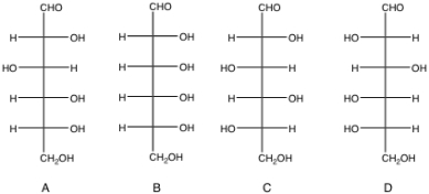 <strong>Which two monosaccharides seen below are epimers? </strong> A) A and B B) A and C C) B and C D) C and D E) B and D