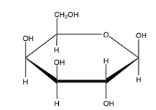 <strong>Which of the following Haworth projections correctly shows the \alpha anomer of galactose?</strong> A) B) C) D) E) none of the above