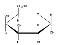<strong>Which of the following Haworth projections correctly shows the \alpha anomer of galactose?</strong> A) B) C) D) E) none of the above