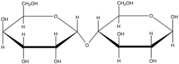 <strong>The following is a(n) _____ disaccharide with a(n) _____ glycosidic bond. </strong> A) \alpha ; \beta (1 \rarr 4) B) \alpha ; \beta (1 \rarr 1) C) \beta ; \alpha (1 \rarr 4) D) \beta ; \alpha (1 \rarr 1) E) \beta ; \beta (1 \rarr 4)
