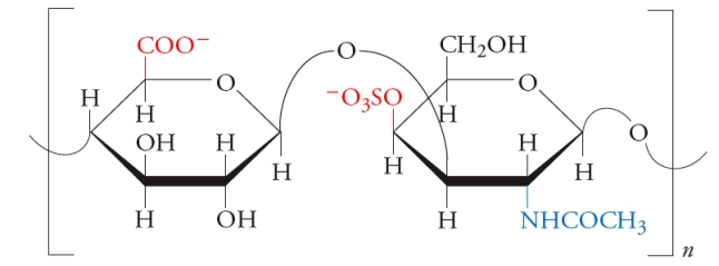 <strong>Chondroitin sulfate, shown below, contains which of the following? </strong> A) a \beta (1 \rarr 3) glycosidic bond B) a \beta (1 \rarr 4) glycosidic bond C) a glucuronic acid residue D) a sulfate ester of N-acetylgalactosamine E) all of the above