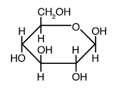 <strong>The structure below shows a Fischer projection of D-Idose. Which of the structures below represents \beta -D-Idopyranose</strong> A) B) C) D) E)