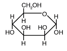 <strong>The structure below shows a Fischer projection of D-Idose. Which of the structures below represents \beta -D-Idopyranose</strong> A) B) C) D) E)
