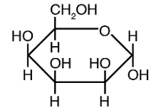 <strong>The structure below shows a Fischer projection of D-Idose. Which of the structures below represents \beta -D-Idopyranose</strong> A) B) C) D) E)