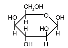 <strong>The structure below shows a Fischer projection of D-Idose. Which of the structures below represents \beta -D-Idopyranose</strong> A) B) C) D) E)