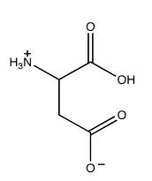 <strong>Which of the following structures shows the prevalent form of glutamic acid at pH 3?</strong> A)   B)   C)   D)   E) none of these choices <div style=padding-top: 35px> 