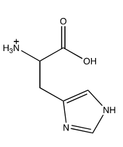 <strong>Which of the following structures shows the prevalent form of histidine at pH 5?</strong> A)   B)   C)   D)   E) none of these choices <div style=padding-top: 35px> 