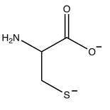 <strong>Which of the following structures shows the prevalent form of cysteine at pH 12?</strong> A)   B)   C)   D)   E) none of these choices <div style=padding-top: 35px> 