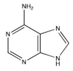 <strong>Which of the following bases pairs with guanine?</strong> A) B) C) D) E)
