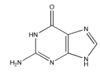 <strong>Which of the following bases pairs with guanine?</strong> A) B) C) D) E)