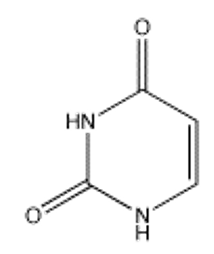 <strong>Which of the following bases pairs with guanine?</strong> A) B) C) D) E)