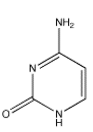 <strong>Which of the following bases pairs with guanine?</strong> A) B) C) D) E)