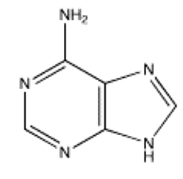<strong>Which of the following bases is not present in RNA?</strong> A) B) C) D) E)