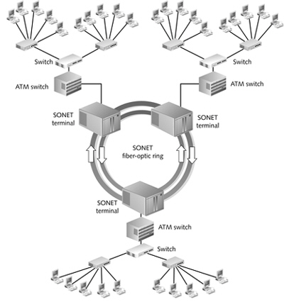 <strong> The figure above shows SONET ____ switching.</strong> A)bidirectional line B)automatic protection C)dual ring D)unidirectional path