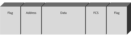 The figure above shows the ____________________ format.