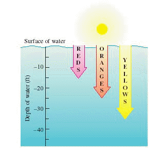 Sunlight is a mixture of all colors. When sunlight passes through water, the water absorbs different colors at different rates, as shown in the illustration below. Green light penetrates 4 times deeper than red light. Express this depth as a signed number. How far does green light penetrate?   __________ ft.<div style=padding-top: 35px> 