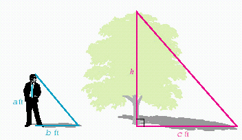 <strong>The tree in the illustration casts a shadow c = 6 feet long, while a person a = 6 feet tall casts a shadow b = 4 feet long. Find the height of the tree. </strong> A) \frac { 3 } { 12 } B) 15 C) \frac { 1 } { 9 } D) 9 E) none of these