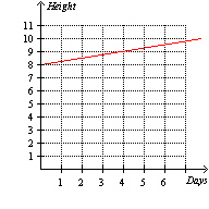 <strong>A beanstalk grows at a constant rate. The beanstalk s height (inches) as a function of time (days) is modeled by . Which of the following graphs illustrate the function h ?</strong> A) B) C) D) E) None of these options