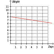 <strong>A beanstalk grows at a constant rate. The beanstalk s height (inches) as a function of time (days) is modeled by . Which of the following graphs illustrate the function h ?</strong> A) B) C) D) E) None of these options