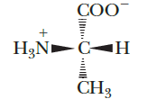  Identify the class of basic biomolecules represented by the following structure.
