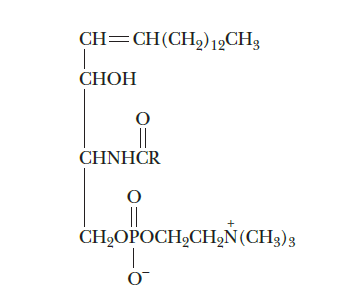 Identify the type of lipids represented by the following structure.