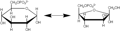 <strong>Which enzyme catalyzes the reaction shown? </strong> A) an epimerase B) an isomerase C) a mutase D) a dehydrogenase