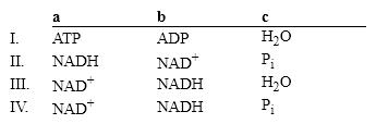 <strong>Which group of small molecules best fit the boxes associated with the reaction shown? </strong> A) I B) II C) III D) IV