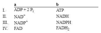 <strong>Which group of small molecules best fit the boxes associated with the reaction shown? </strong> A) I B) II C) III D) IV