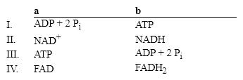 <strong>Which group of small molecules best fit the boxes associated with the reaction shown? </strong> A) I B) II C) III D) IV