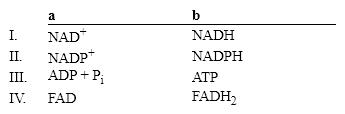 <strong>Which group of small molecules best fit the boxes associated with the reaction shown? </strong> A) I B) II C) III D) IV