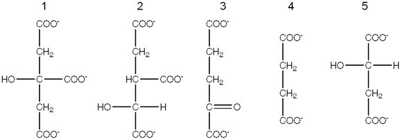 Exhibit 19A The following compounds are all intermediates in the citric acid cycle. Refer to Exhibit 19A. Which intermediate is formed from fumarate?