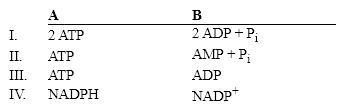 Which group of small molecules best fit the boxes associated with the reaction shown?