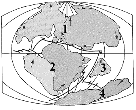 <strong>Figure 18-11 Based on the accompanying figure, which two present day continents should have the most closely related plant and animal species?</strong> A) Eurasia and India B) Australia and India C) Africa and Australia D) North and South America E) Africa and South America