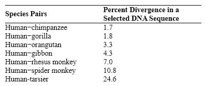 <strong>Table 18-1 Based on data in the accompanying table, which primate has the most recent common ancestor with humans?</strong> A) tarsier B) gibbon C) orangutan D) chimpanzee E) rhesus monkey