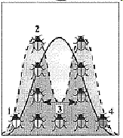 <strong>Figure 19-1 Refer to the accompanying figure. Which beetle phenotype has the highest probability of survival?</strong> A) 1 B) 2 C) 3 D) 4 E) There is no difference in survival rate.